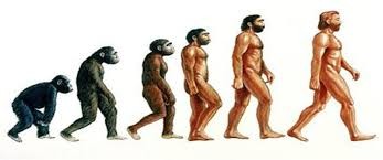 evolution
